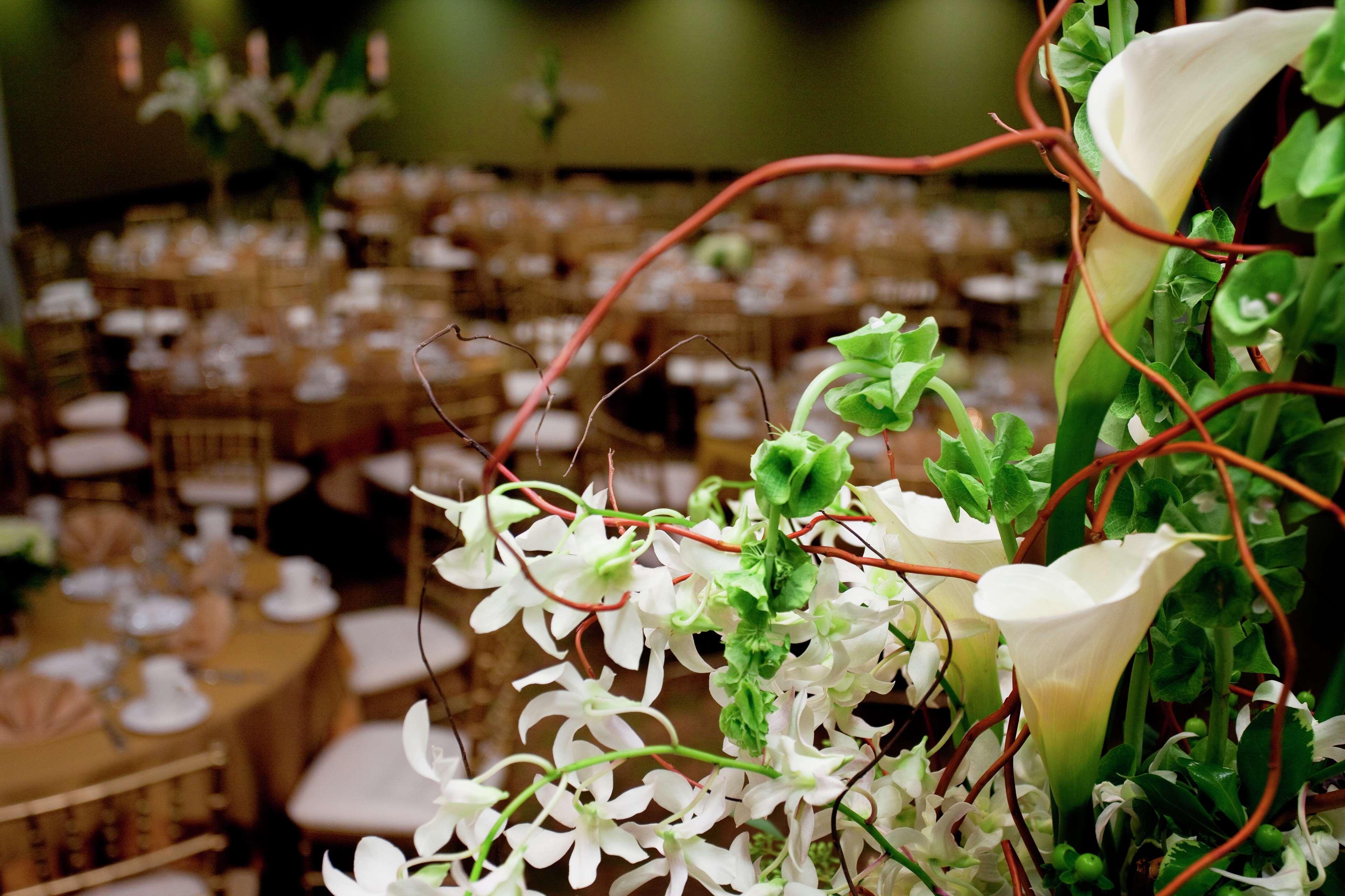 Hilton Garden Inn Seattle/Bothell Extérieur photo